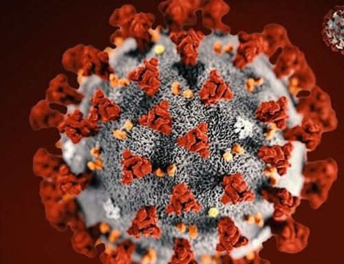Efforts to Mitigate the Coronavirus